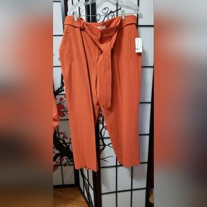Bar III pants with removable belt